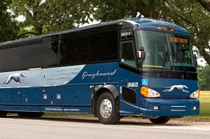 Greyhound-Bus