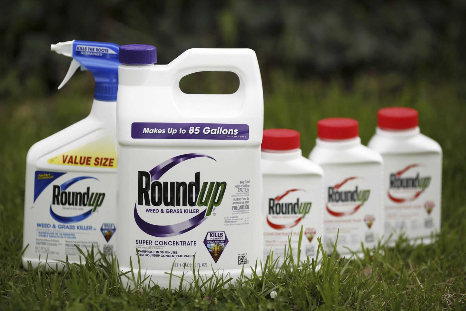 Roundup weed killer cancer lawsuit leads to $2.25 billion verdict against  Monsanto