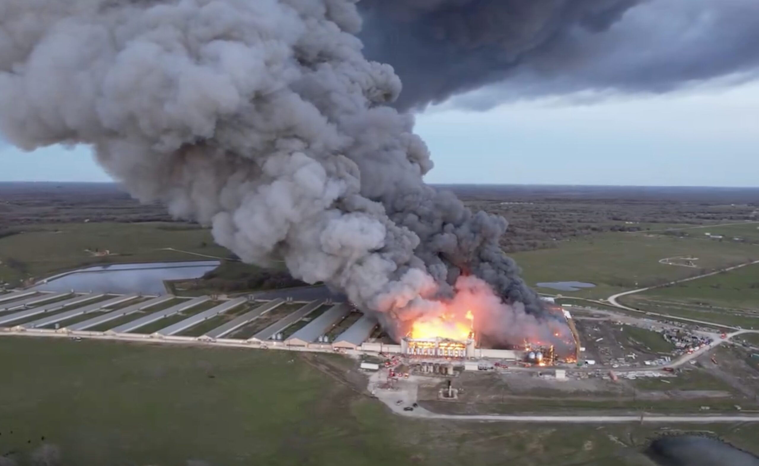 Feather Crest Farms Fire in Bryan, TX